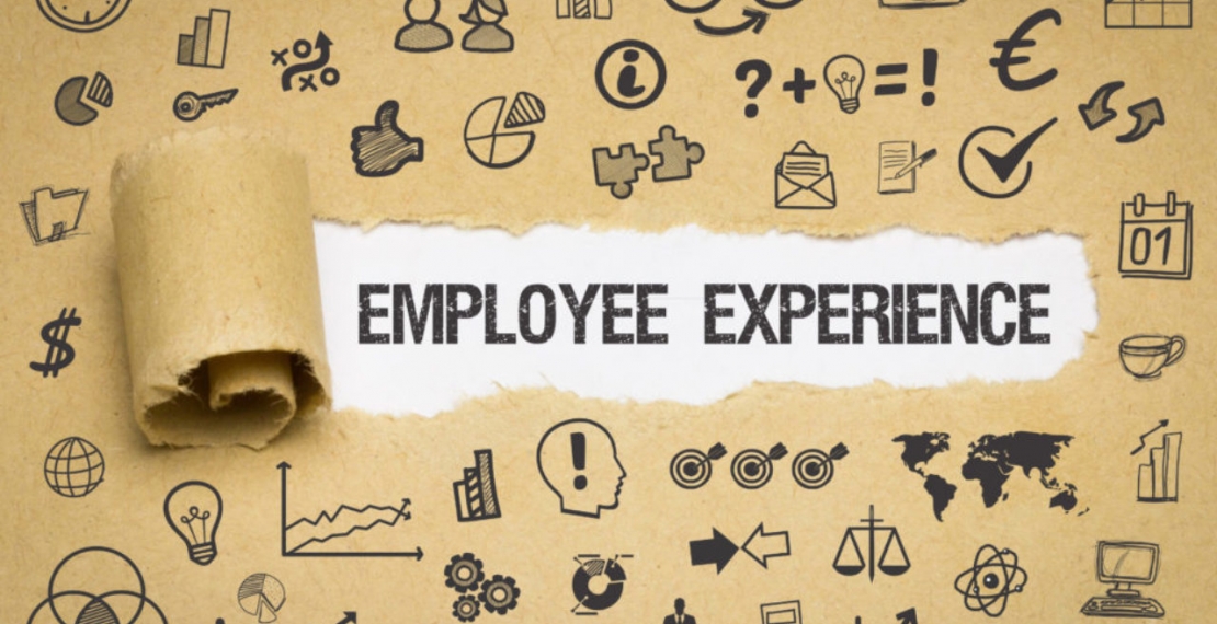 Investir no Employee Experience garante excelente retorno para as empresas